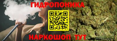 амф Шелехов