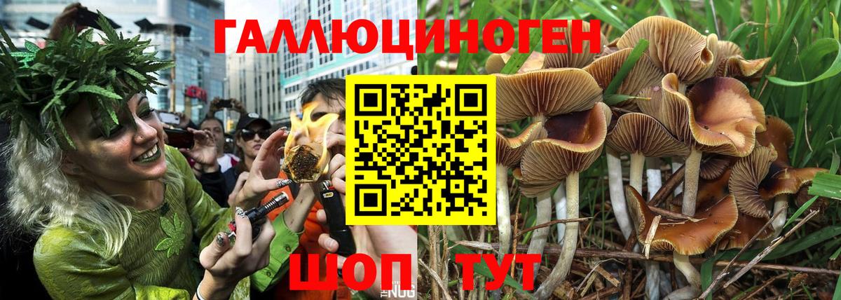 Псилоцибиновые грибы прущие грибы  купить наркотик  Бор  Вход с VPN 